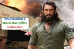 Dhurandhar Movie Box Office Collection